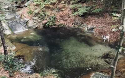 I Laghetti di Cravè e del Rio Frassino: un’oasi nascosta nella Val Bormida