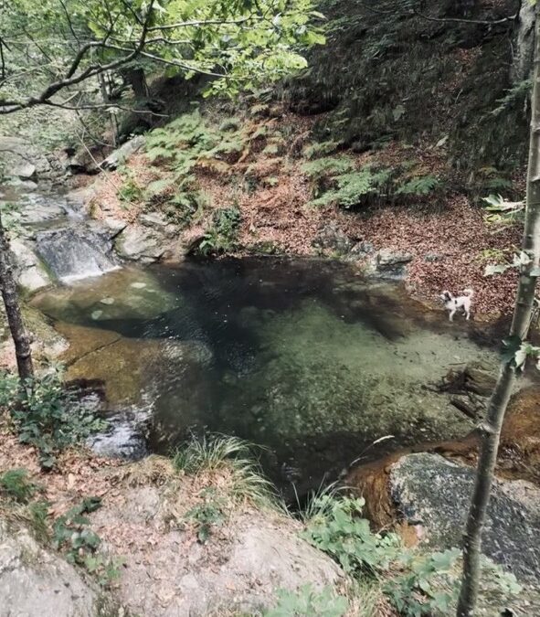 Die Laghetti di Cravè und der Rio Frassino: eine versteckte Oase im Bormida-Tal